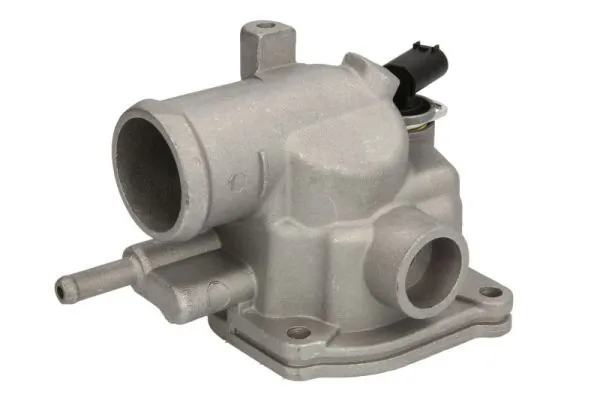 Thermostat, coolant D2M008TT