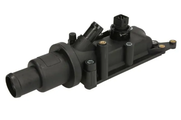 Thermostat, coolant D2R013TT