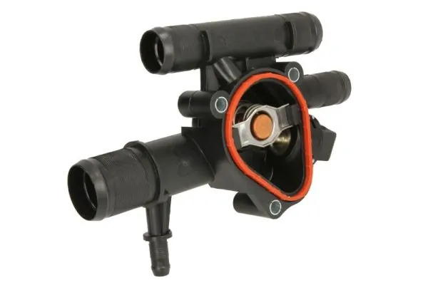 Thermostat, coolant D2R011TT