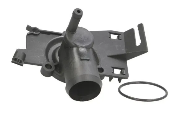 Thermostat, coolant D2S002TT
