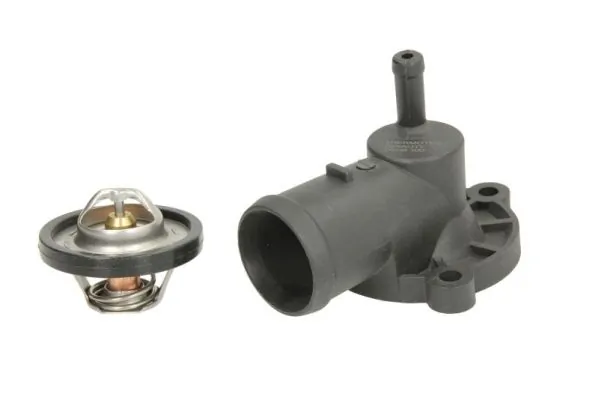 Thermostat, coolant D2S003TT