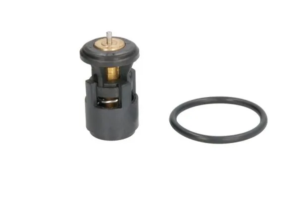 Thermostat, coolant D2A005TT