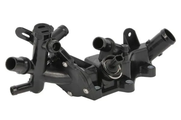 Thermostat, coolant D2R022TT