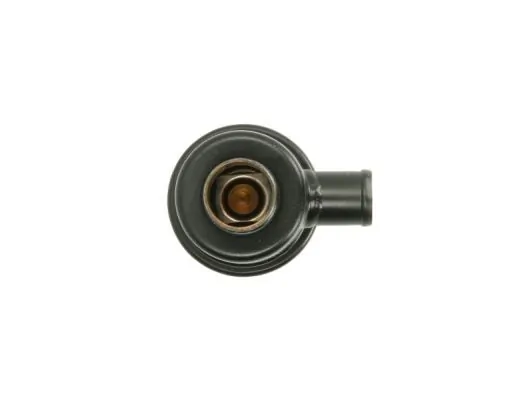 THERMOTEC D2FE005TT Thermostat, coolant