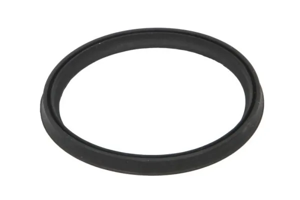 Seal Ring, charge air hose DCR273TT