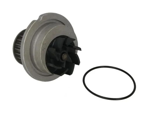 Water Pump, engine cooling D10018TT