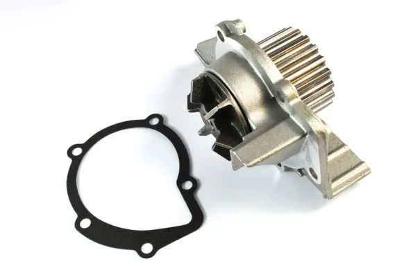 Water Pump, engine cooling D1F061TT
