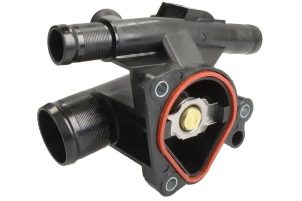 Thermostat, coolant D2R021TT