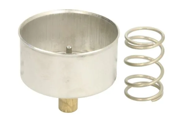 THERMOTEC D2RV005TT Thermostat, coolant