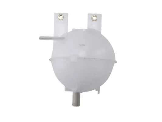 Expansion Tank, coolant DBG003TT