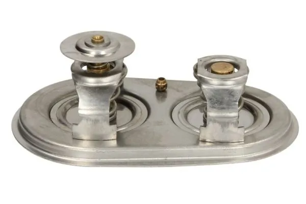 THERMOTEC D2SC011TT Thermostat, coolant