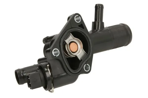 Thermostat, coolant D2R009TT