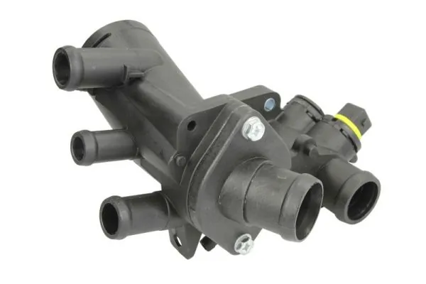 Thermostat, coolant D2A009TT