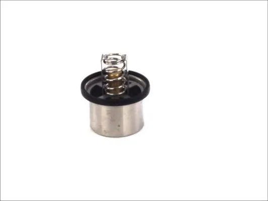 Thermostat, coolant D2VO001TT