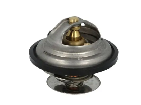 Thermostat, coolant D2IV005TT