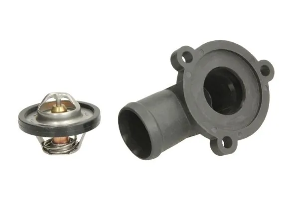 Thermostat, coolant D2S003TT
