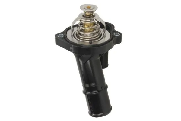 Thermostat, coolant D2G013TT