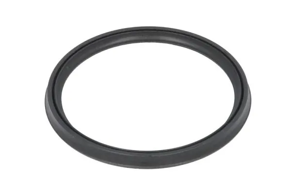 Seal Ring, charge air hose DCB082TT