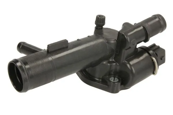 Thermostat, coolant D2R006TT