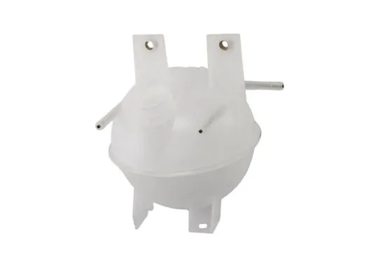 Expansion Tank, coolant DBG003TT