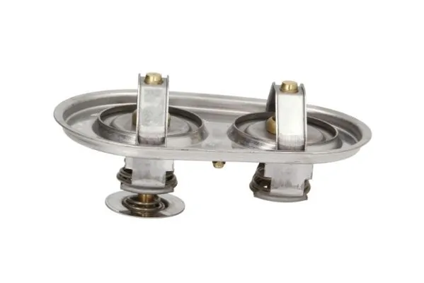 Thermostat, coolant D2SC009TT