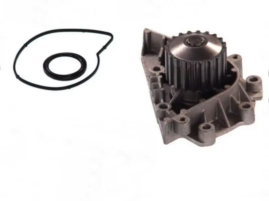 Water Pump, engine cooling D1P042TT