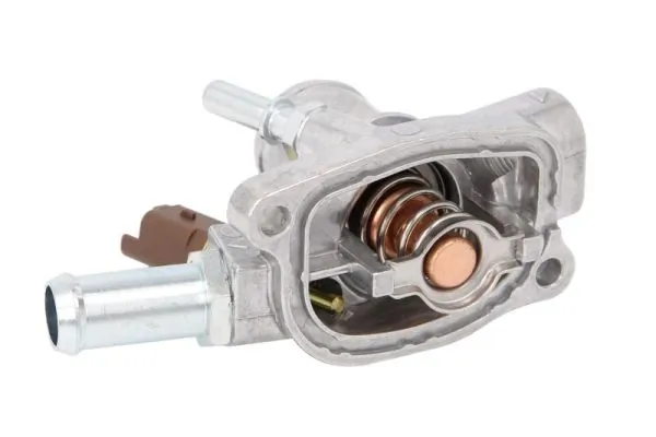 Thermostat, coolant D2F013TT