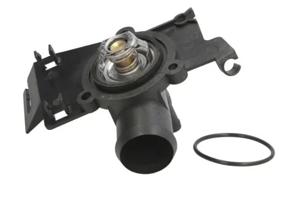 Thermostat, coolant D2S002TT