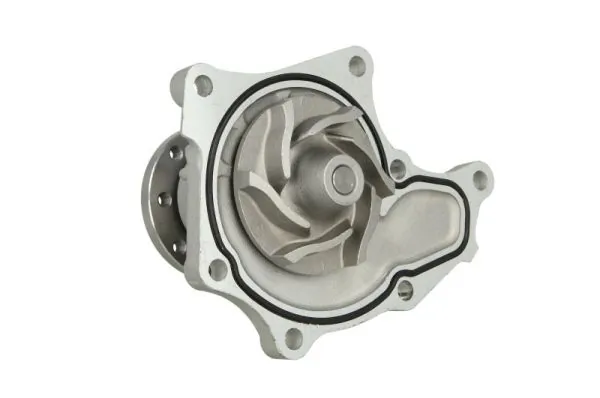 Water Pump, engine cooling D19024TT