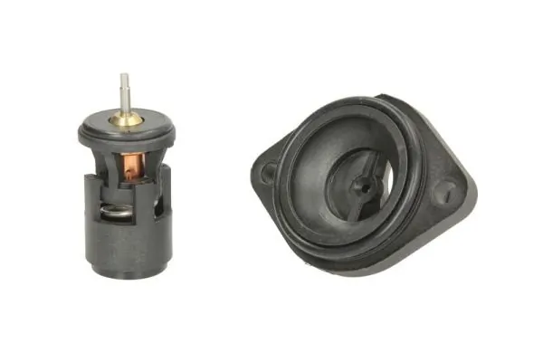 Thermostat, coolant D2W004TT