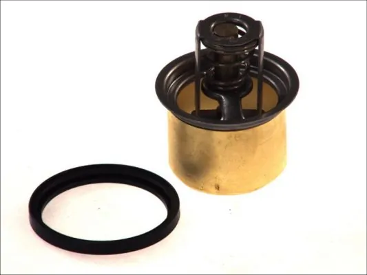 Thermostat, coolant D2RV001TT