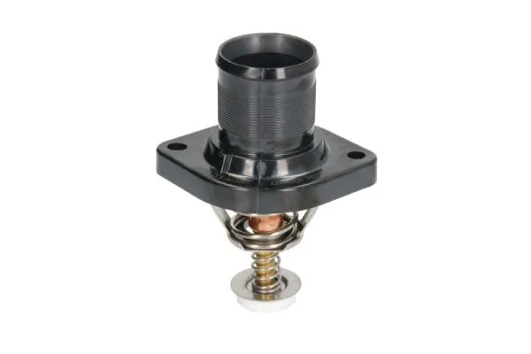 Thermostat, coolant D2C004TT