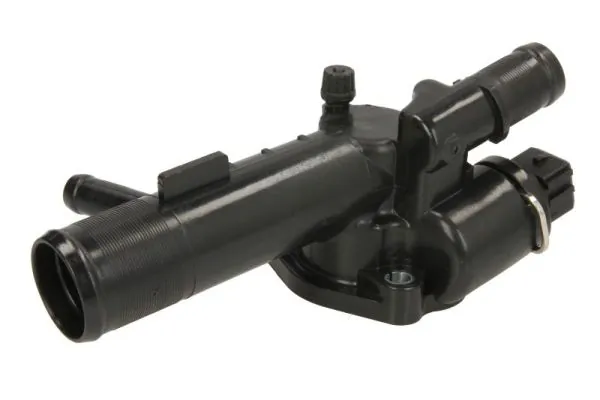 Thermostat, coolant D2R009TT