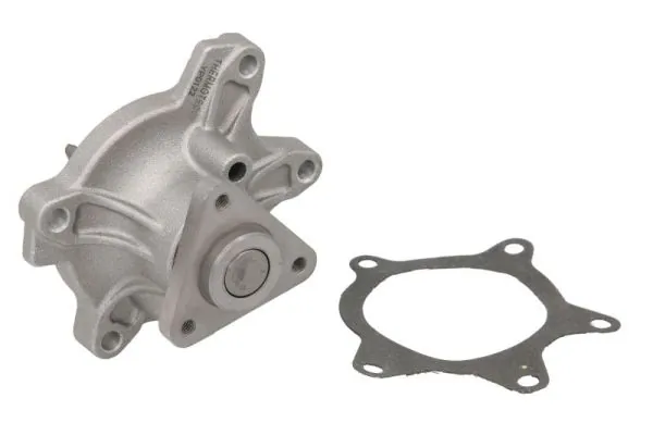 Water Pump, engine cooling D12072TT