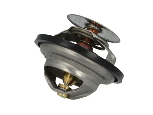 Thermostat, coolant D2IV005TT