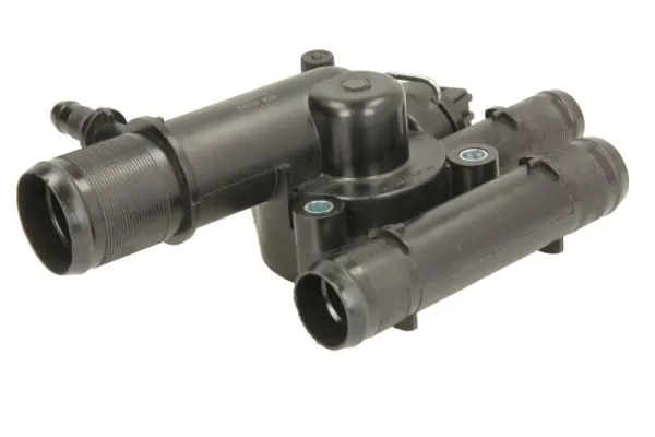 Thermostat, coolant D21002TT