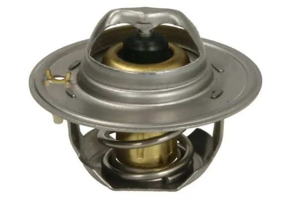 Thermostat, coolant D2FO002TT