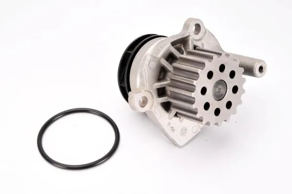 Water Pump, engine cooling D1W049TT