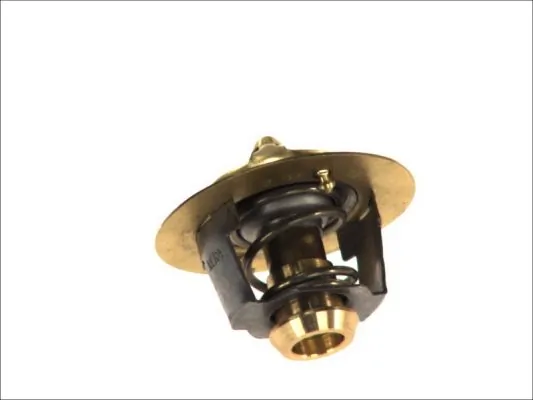 THERMOTEC D2DA002TT Thermostat, coolant