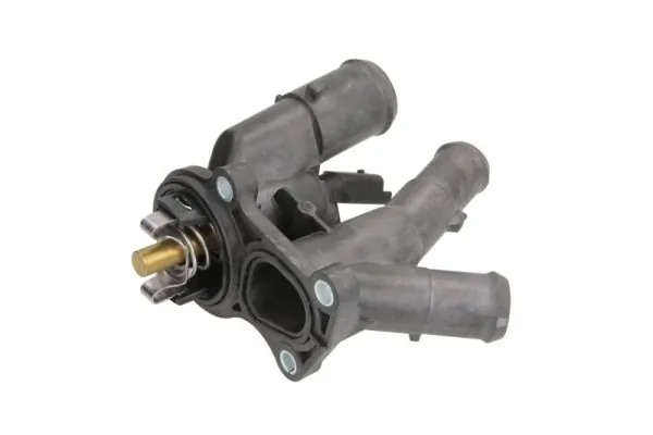Thermostat, coolant D2G016TT