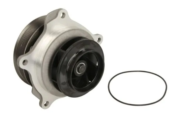 THERMOTEC WP-DF124 Water Pump, engine cooling