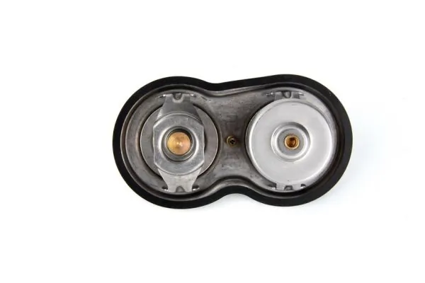 Thermostat, coolant D2SC002TT