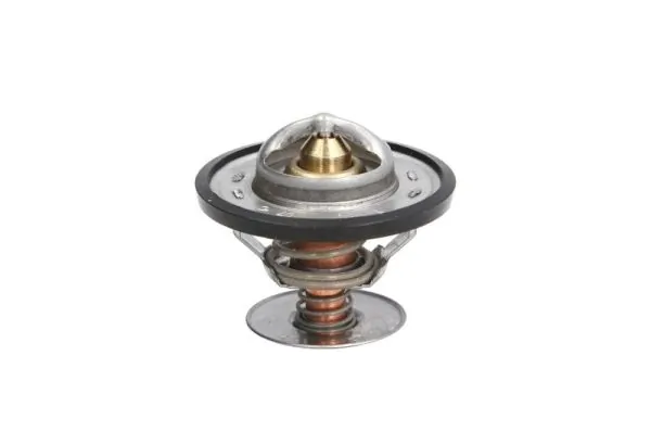 Thermostat, coolant D2G001TT