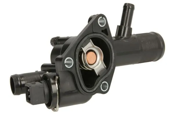 Thermostat, coolant D2R006TT