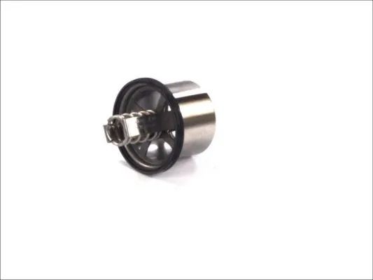 Thermostat, coolant D2VO002TT