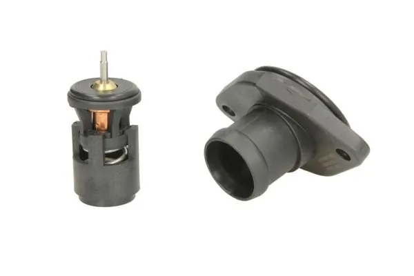 Thermostat, coolant D2W004TT