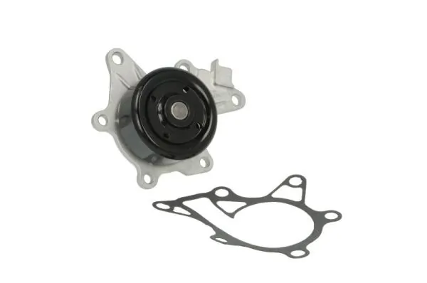 Water Pump, engine cooling D12118TT