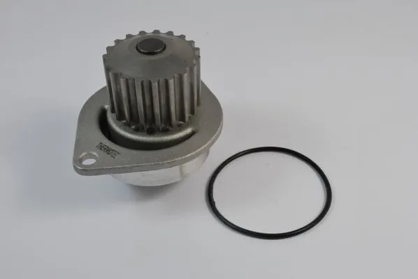 Water Pump, engine cooling D1P010TT