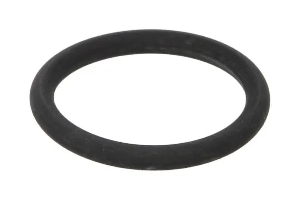 Gasket, charge air cooler DCR286TT