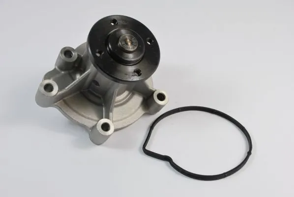 Water Pump, engine cooling D1M023TT
